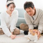 結婚相手の価値観を確認するには？知っておくべきポイント